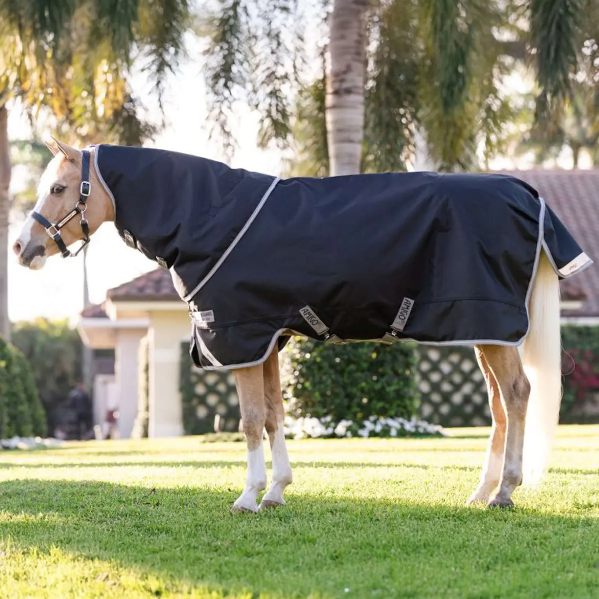 Amigo Turnout Rug 1200D Plus Pony 250G Black/Titanium Grey/Silver 1
