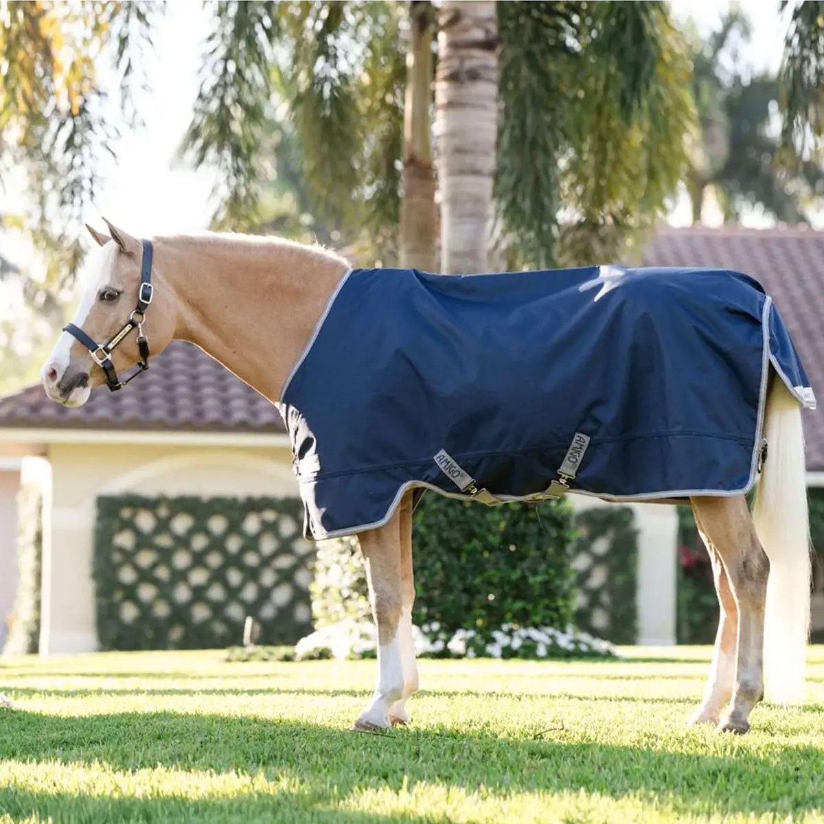Amigo Turnout 1200D Pony 0G Navy/Titanium Grey/Silver 1