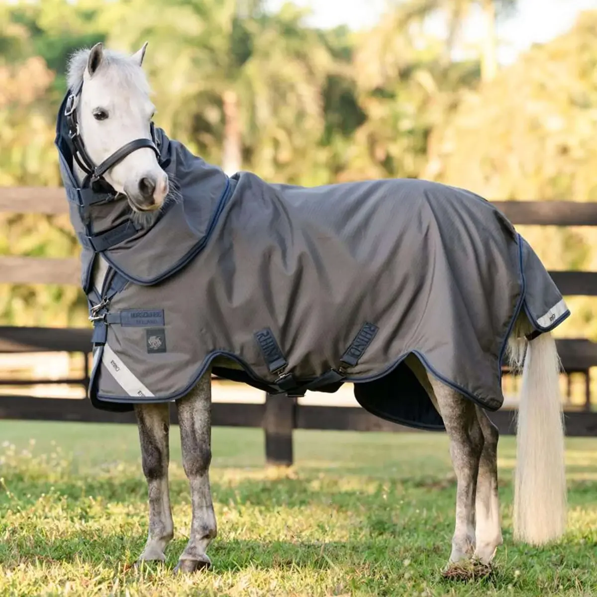 Rhino Hexstop Plus Pony 0G Grey/Indigo/Navy 1
