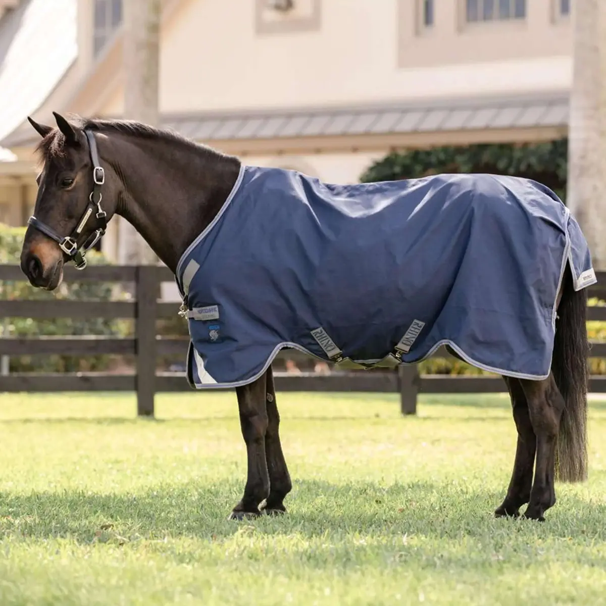 Rhino Pony Turnout 250G Varilayer Navy/Titanium Grey/Classic Blue 1