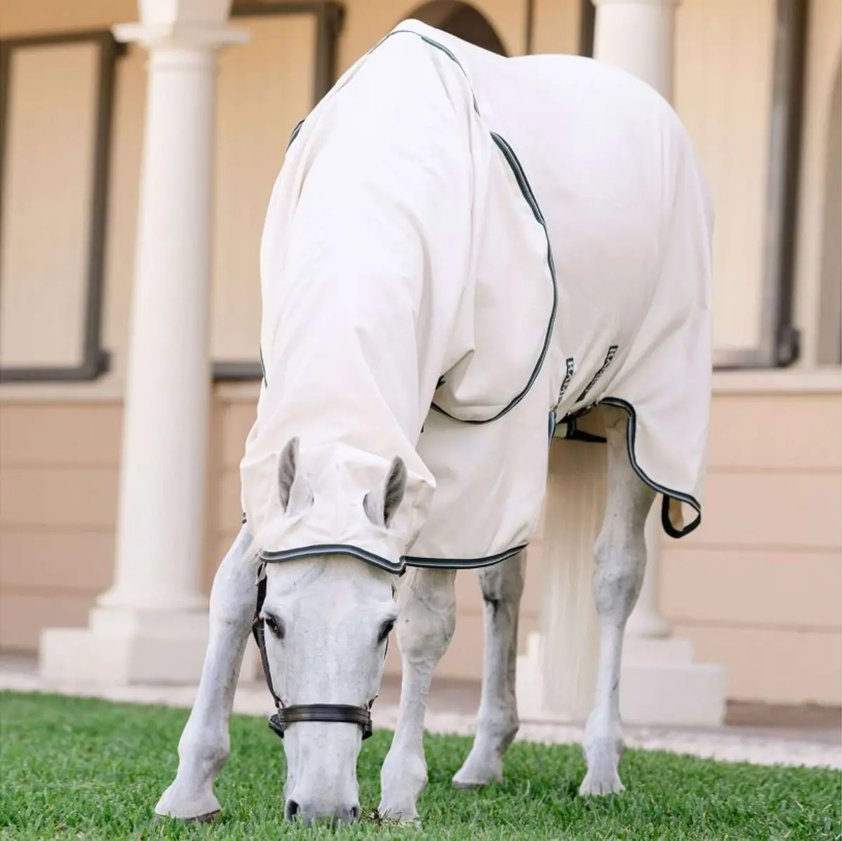 Rambo Hoody Pony Chalk/Hunter Green/Silver 1