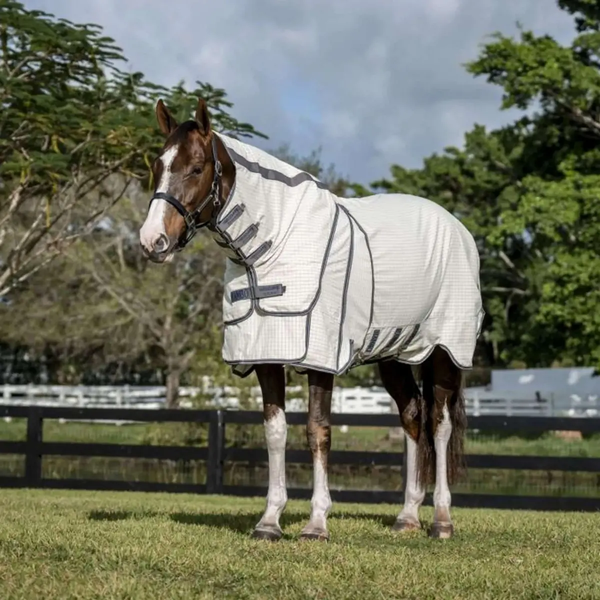 Rambo Optimo Supreme Summer Sheet Plus Navy Check/Thunderstorm Grey/Silver 1