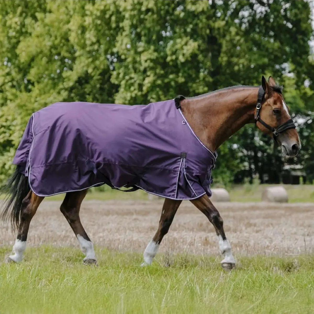 Equithème Outdoordeken Tyrex Aisance 600D 300G 1