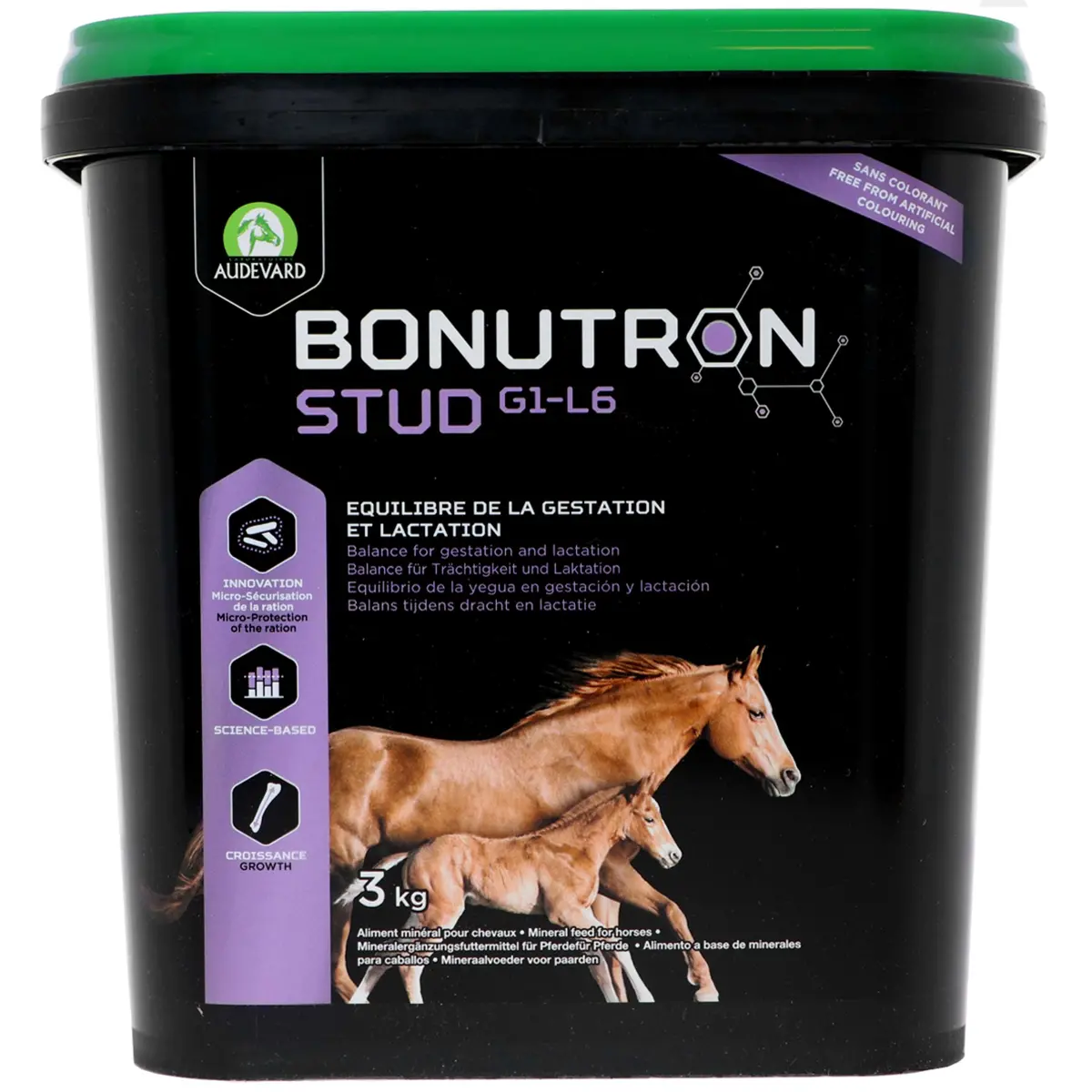 Audevard Bonutron Stud 1