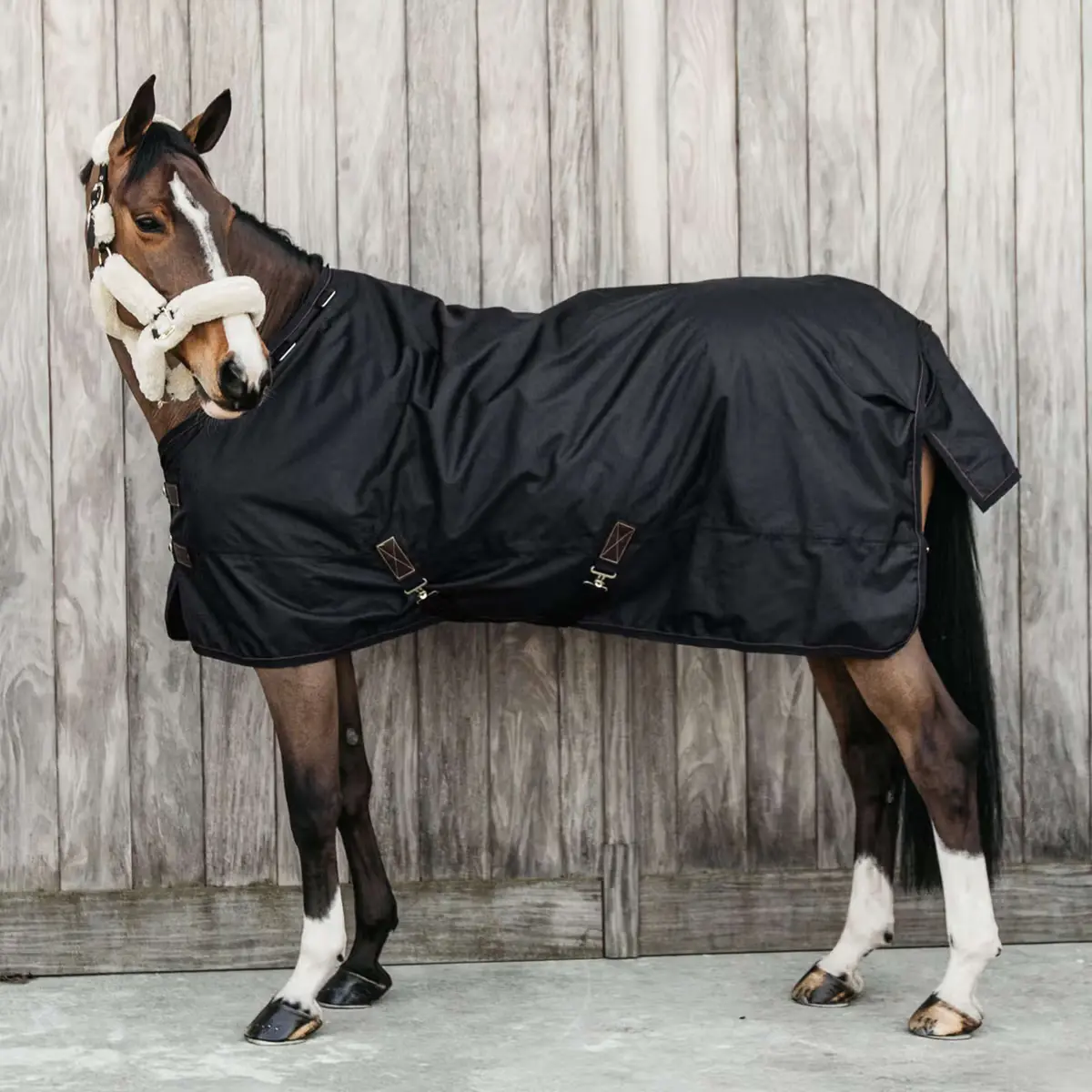 Kentucky Turnout Rug All Weather Waterproof Pro 0G Zwart 1