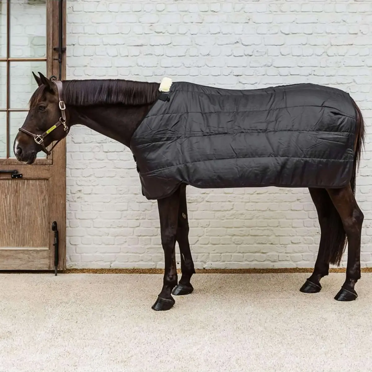 Kentucky Turnout Rug Comfort Liner Pro 300G Zwart 1