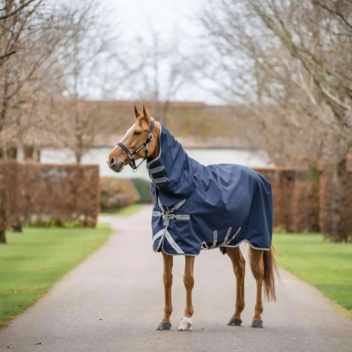 Amigo Turnout Rug Integrated 1200D 150G Navy/Titanium Grey/Silver 1