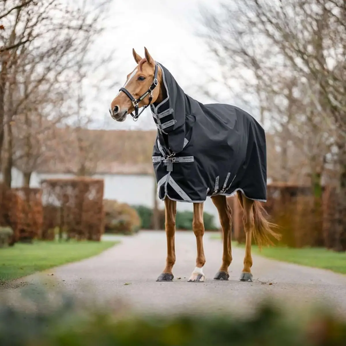 Amigo Turnout Rug Integrated 1200D 150G Black/Titanium Grey/Silver 1