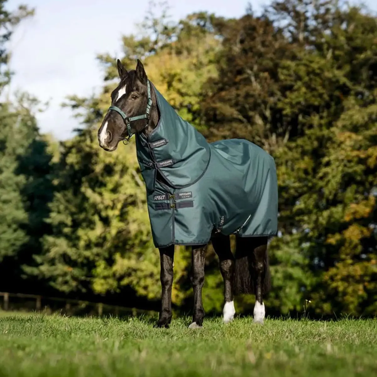 Amigo Ripstop 900D Plus Pony 100G Dynasty Green/Navy/Silver 1