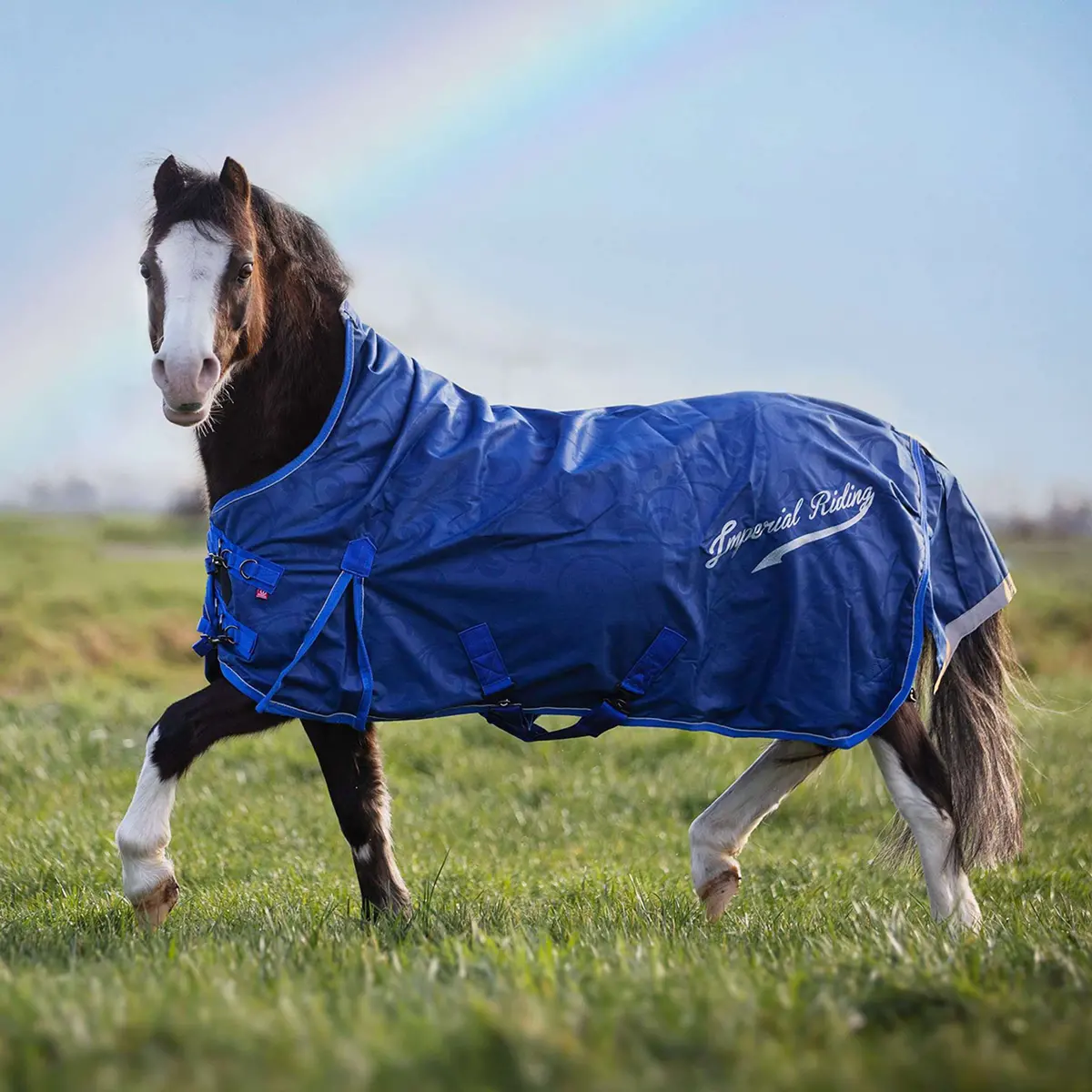 Imperial Riding Regendeken Irhsuper-Dry 0G Navy 1