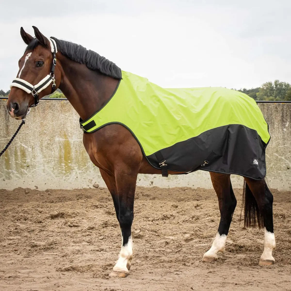 Harry's Horse Stapmolendeken Reflective Waterproof Neon Geel 1