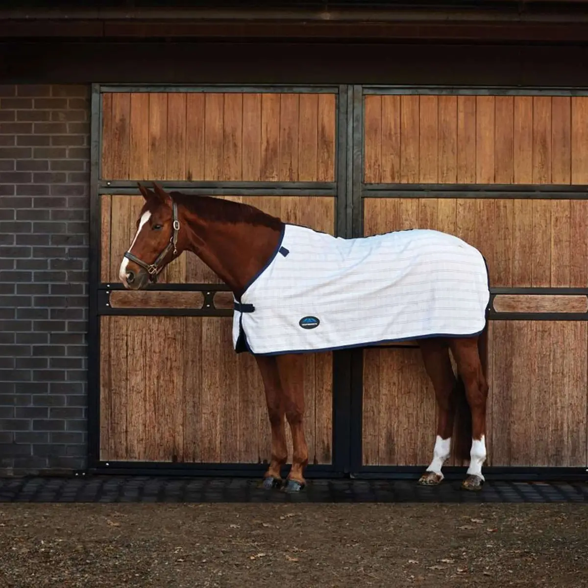 Weatherbeeta Comfitec Cotton Sheet Liner Wit/Navy 1
