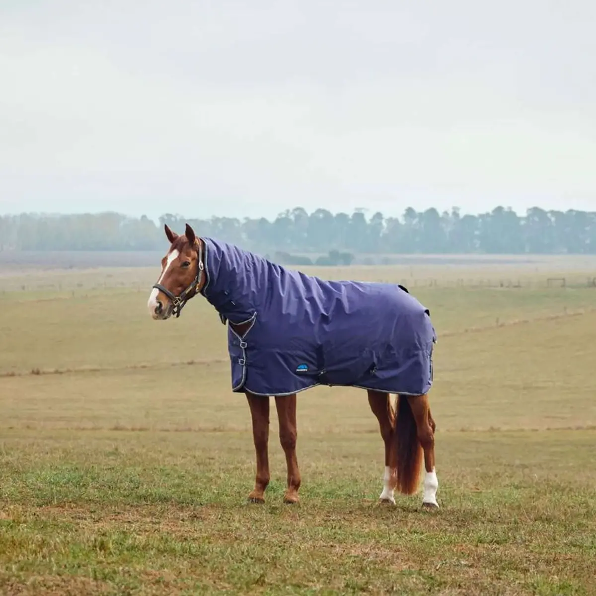 Weatherbeeta Comfitec Tyro Turnout Combo Neck 360G Navy/Charcoal 1