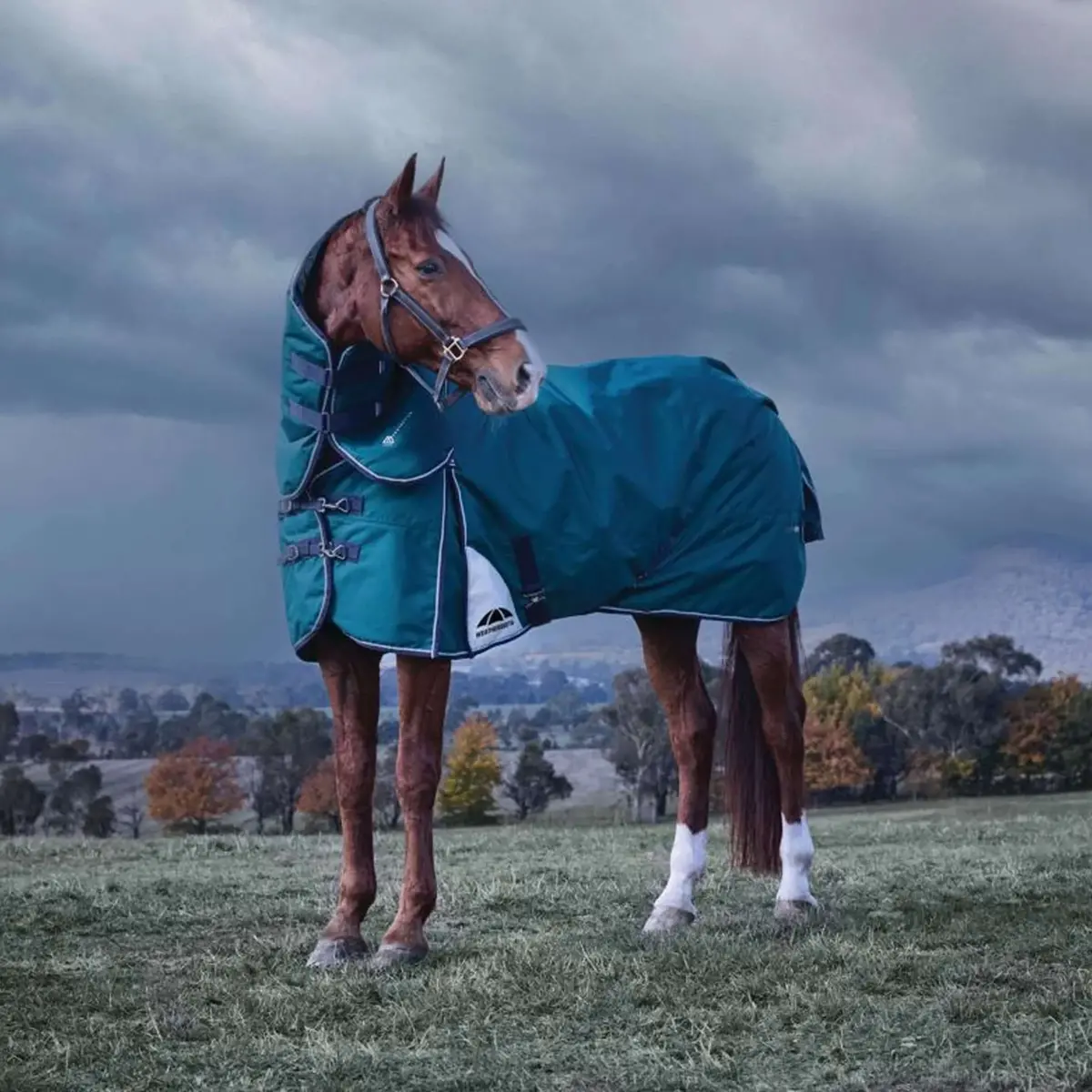 Weatherbeeta Comfitec Plus Dynamic Turnout Detach-A-Neck 220G Forest Green/Navy 1