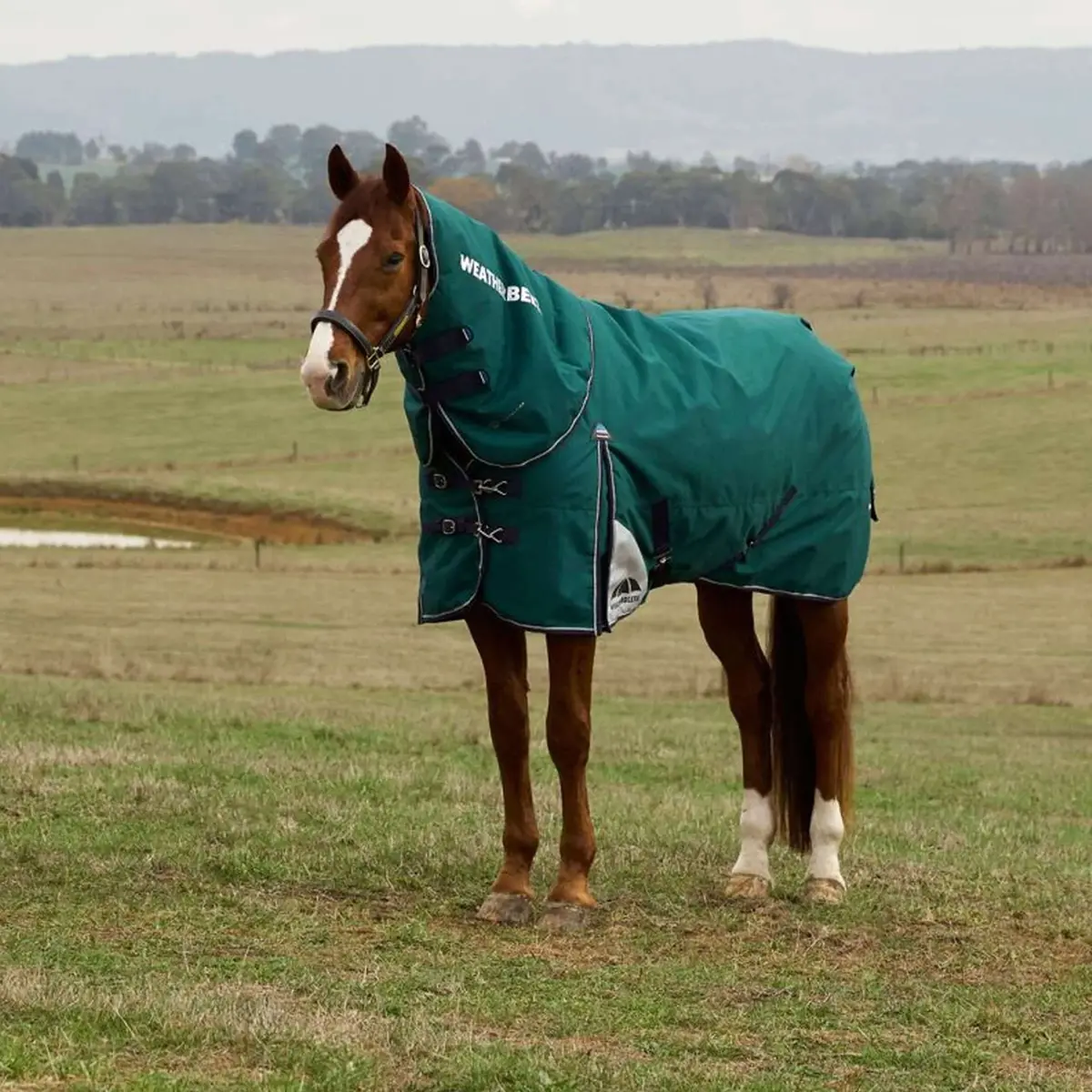 Weatherbeeta Comfitec Plus Dynamic Turnout Detach-A-Neck 0G Forest Green/Navy 1