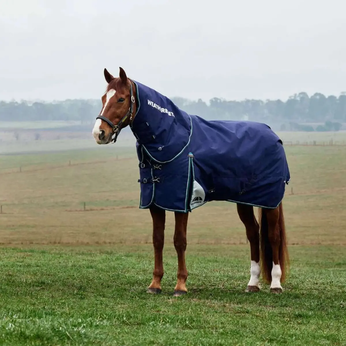 Weatherbeeta Comfitec Plus Dynamic Turnout Detach-A-Neck 220G Navy/Forest Green 1