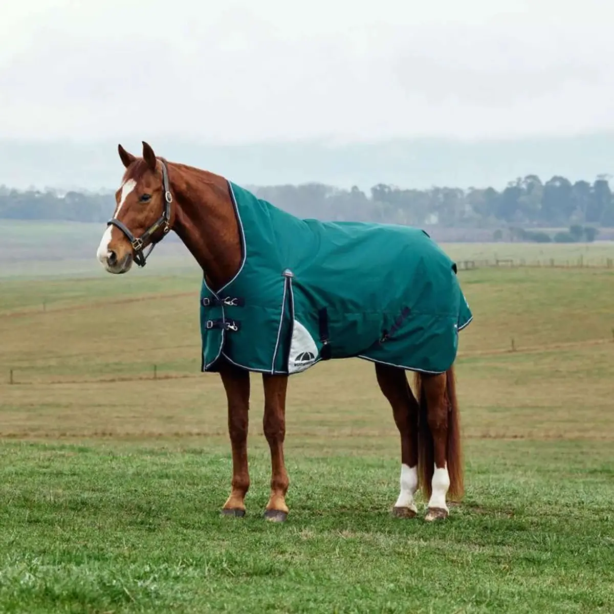 Weatherbeeta Comfitec Plus Dynamic Turnout High Neck 100G Forest Green/Navy 1