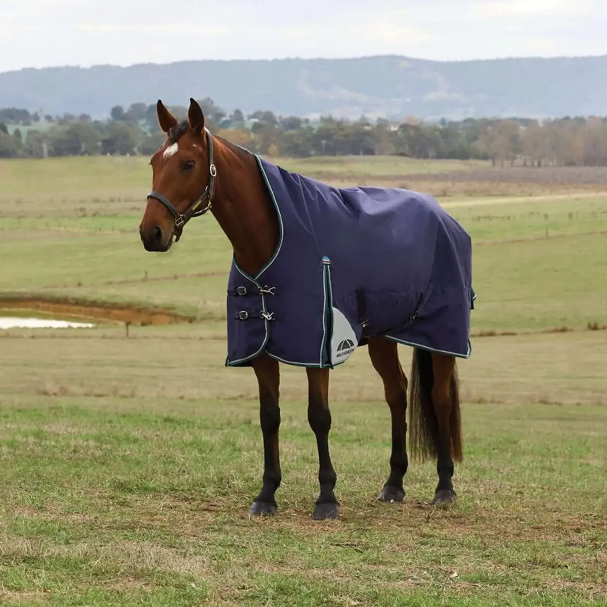 Weatherbeeta Comfitec Plus Dynamic Turnout High Neck 220G Navy/Forest Green 1