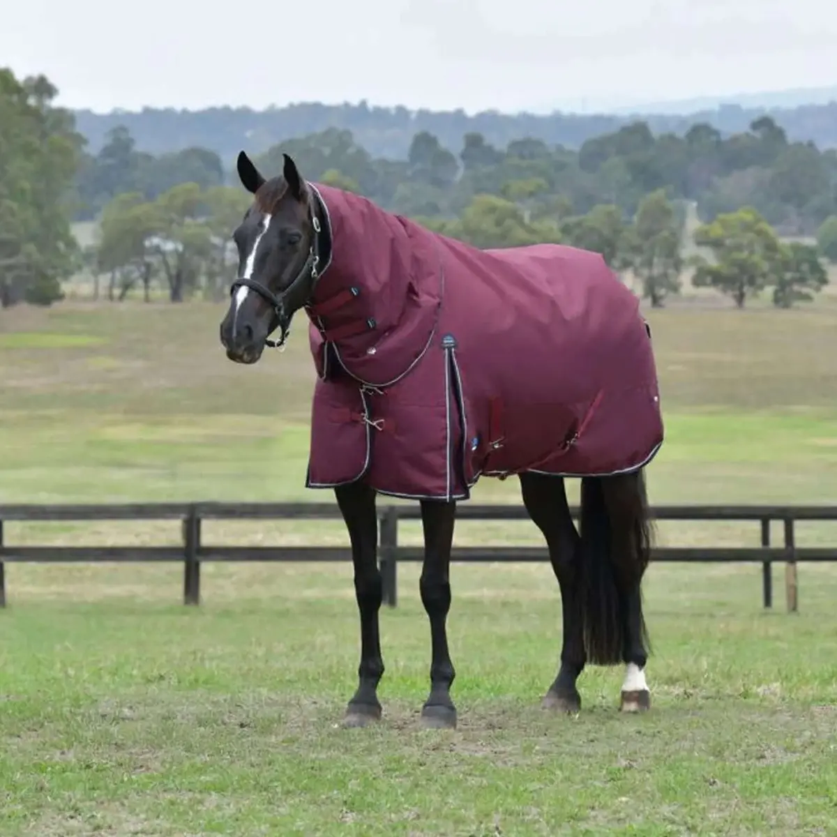 Weatherbeeta Comfitec Essential Turnout Detach-A-Neck 50G Burgundy/Navy 1