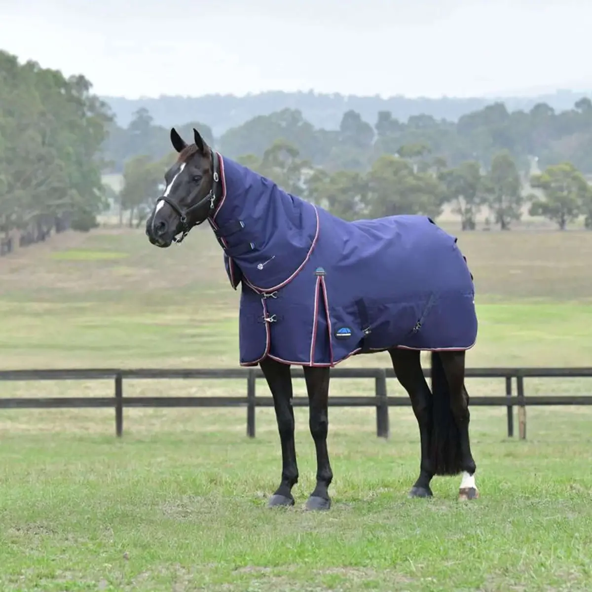 Weatherbeeta Comfitec Essential Turnout Detach-A-Neck 50G Navy/Burgundy 1