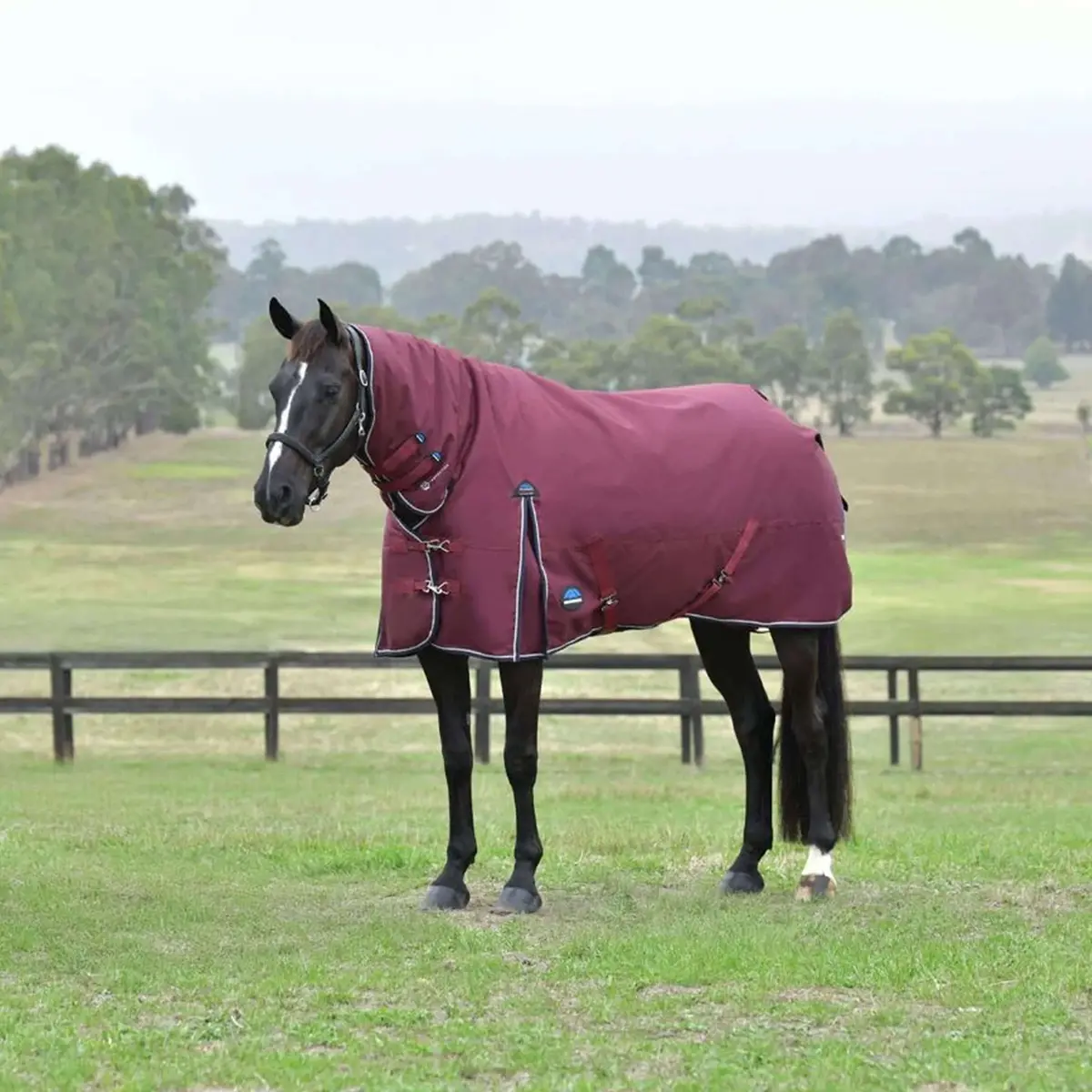 Weatherbeeta Comfitec Essential Turnout Combo 50G Burgundy/Navy 1