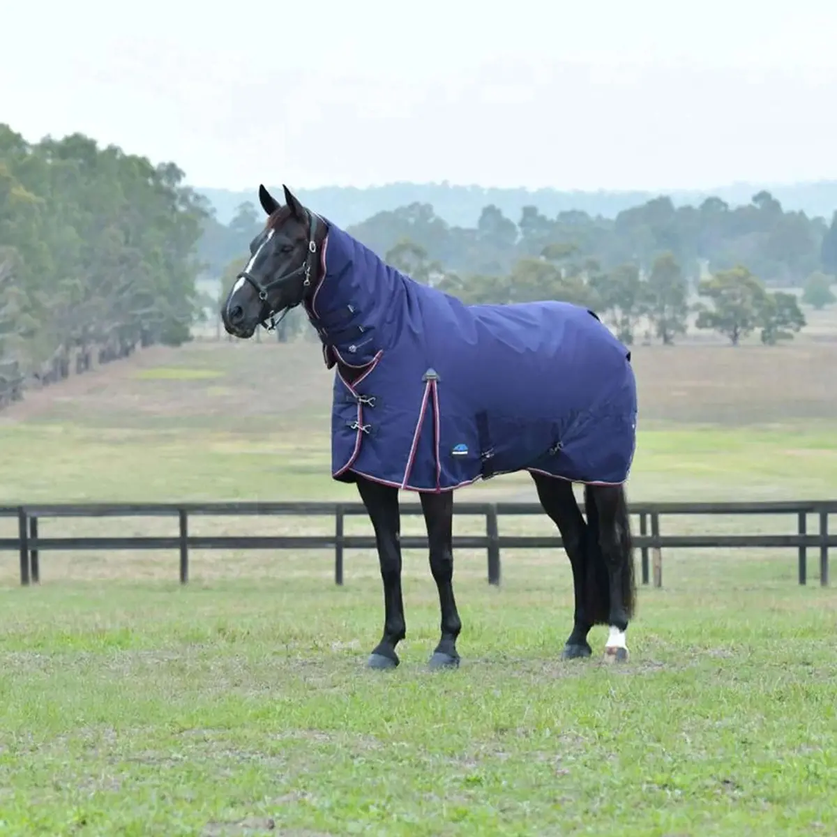 Weatherbeeta Comfitec Essential Turnout Combo 360G Navy/Burgundy 1
