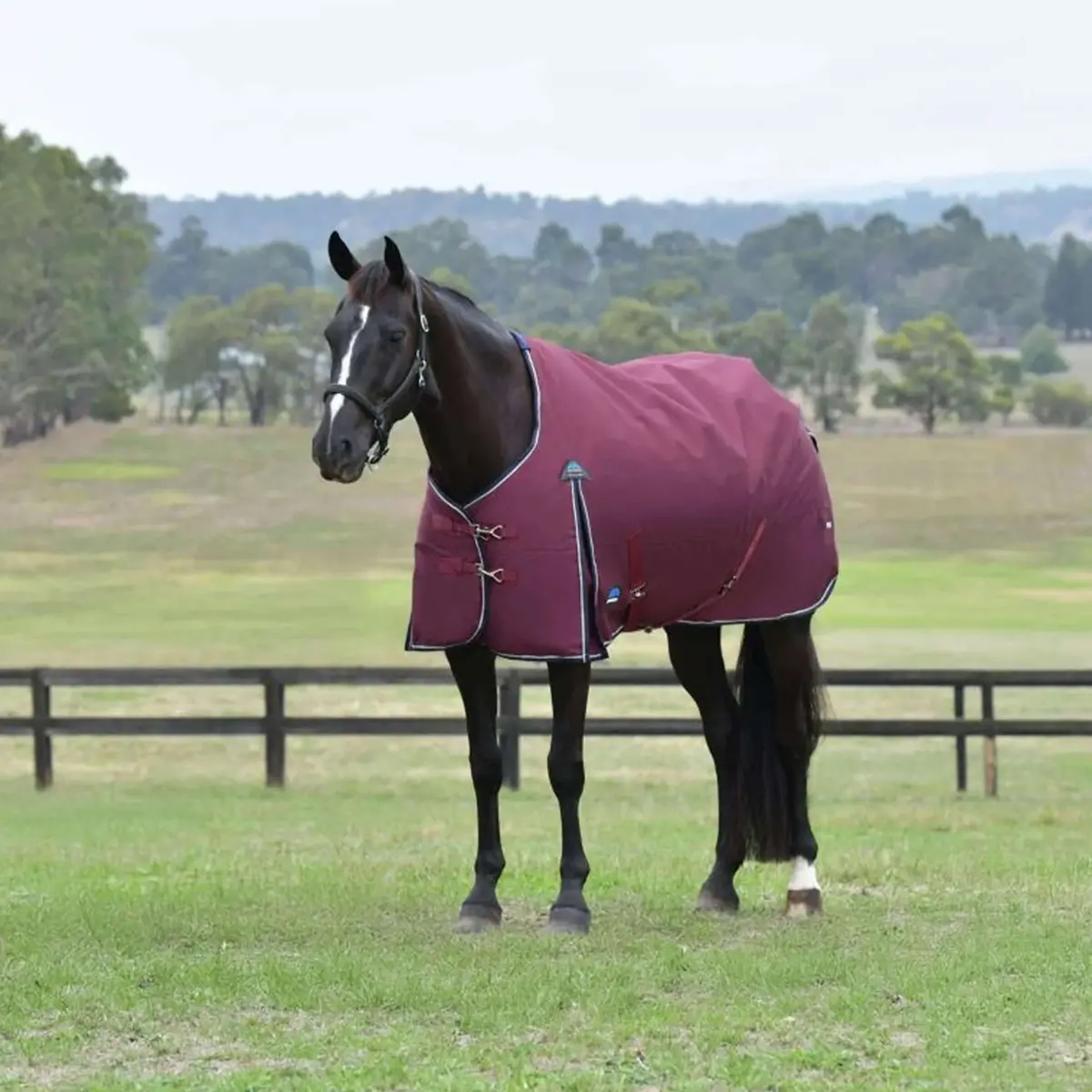 Weatherbeeta Comfitec Essential Turnout 50G Burgundy/Navy 1