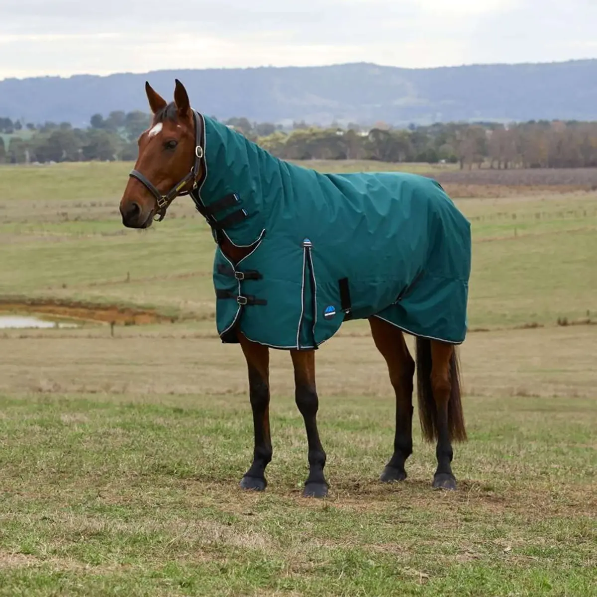 Weatherbeeta Comfitec Classic Turnout Combo 360G Forest Green/Black 1