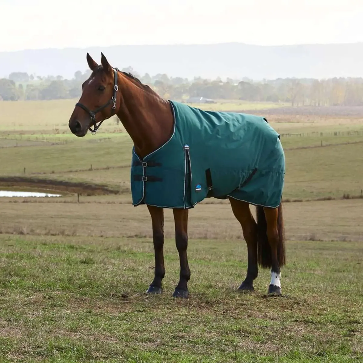 Weatherbeeta Comfitec Classic Turnout 220G Forest Green/Black 1