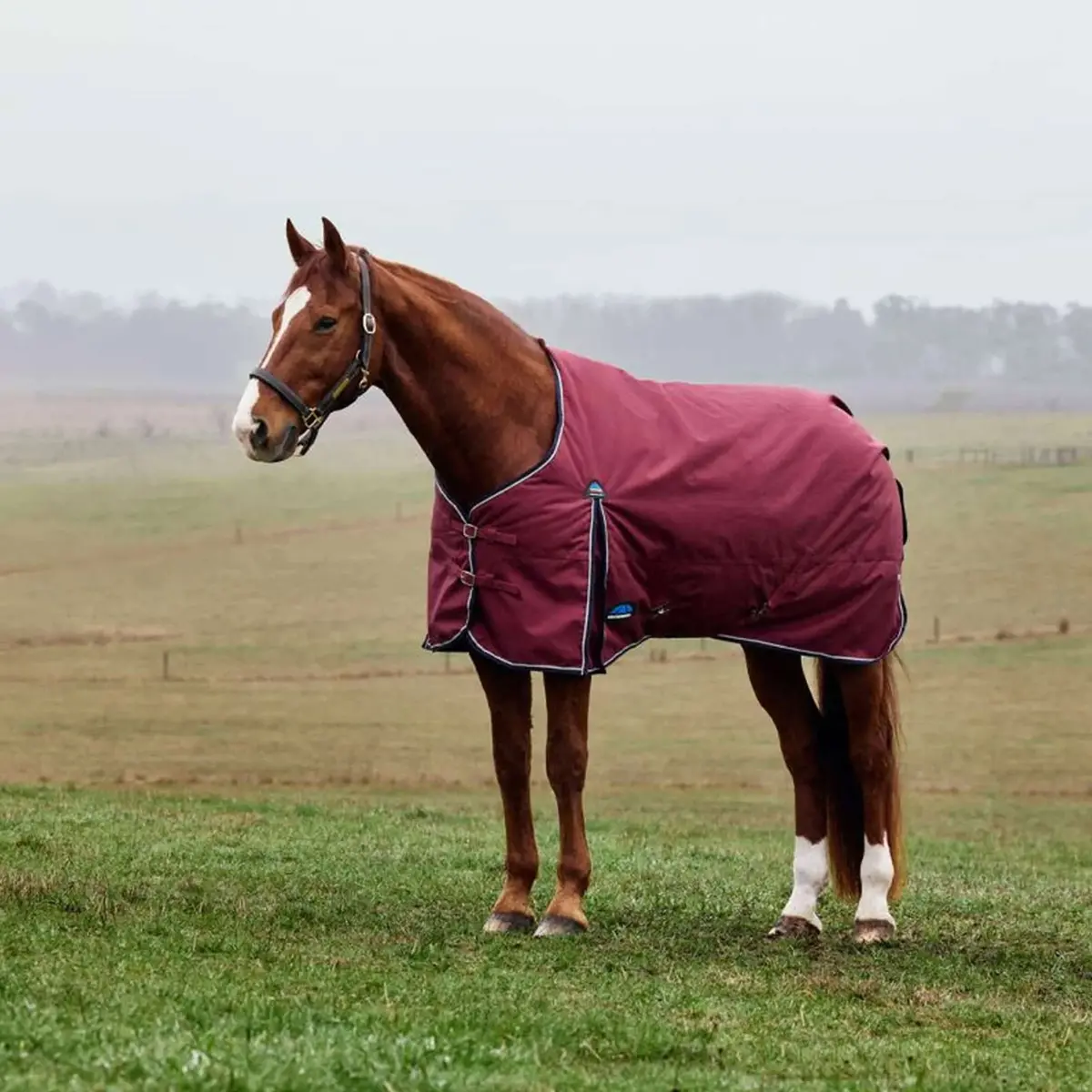 Weatherbeeta Comfitec Prelim Turnout 220G Burgundy/Navy 1