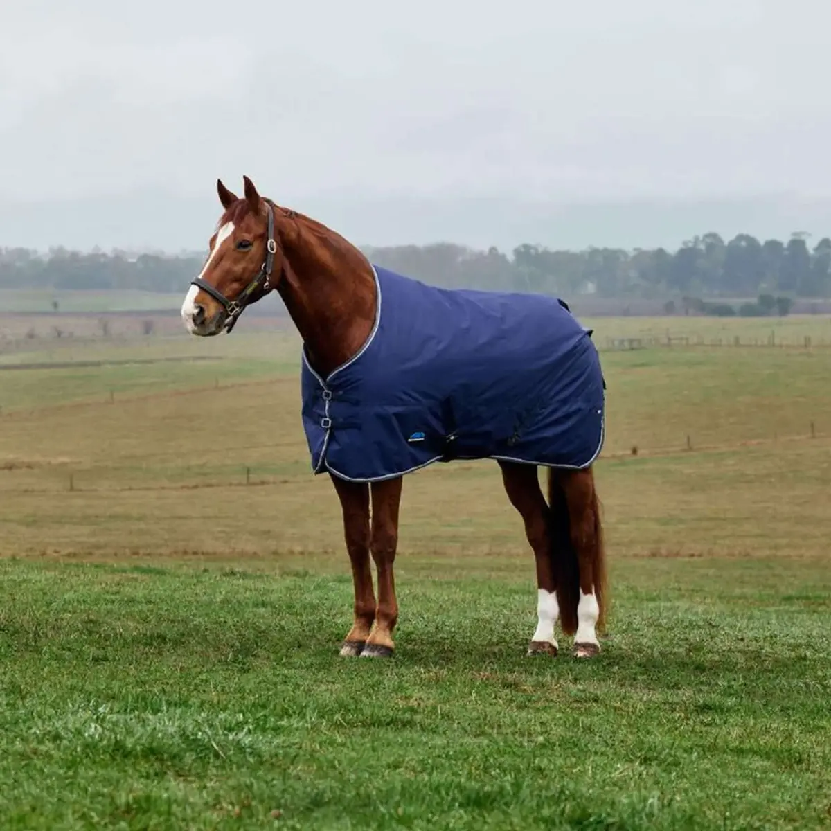 Weatherbeeta Comfitec Tyro Turnout Standard Neck 220G Navy/Charcoal 1