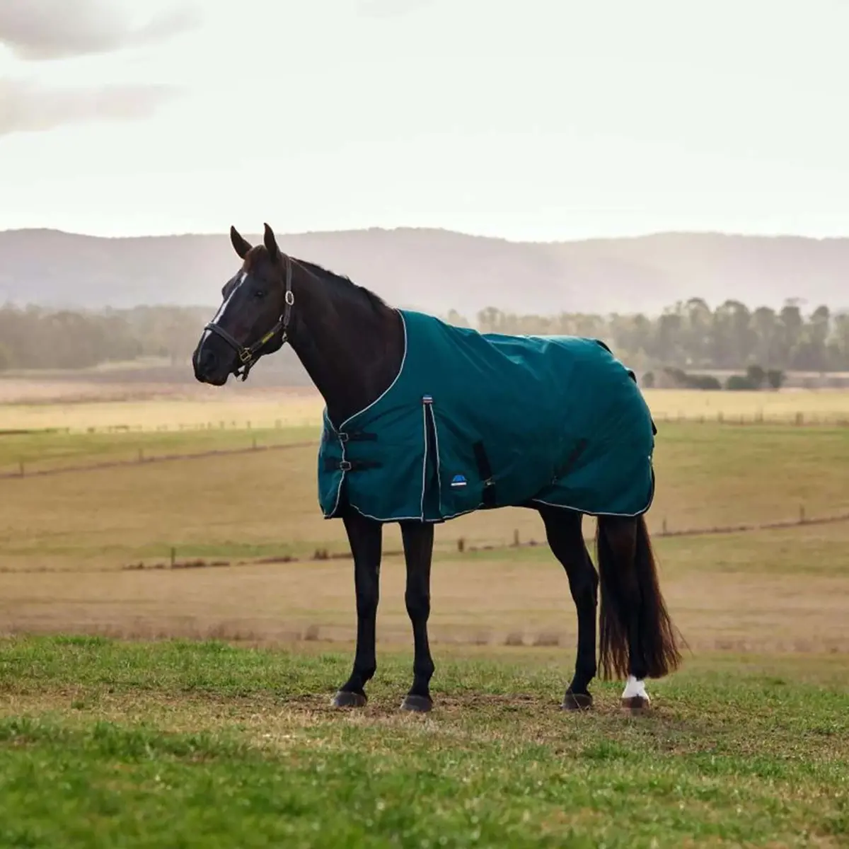 Weatherbeeta Comfitec Classic Turnout 50G Forest Green/Black 1