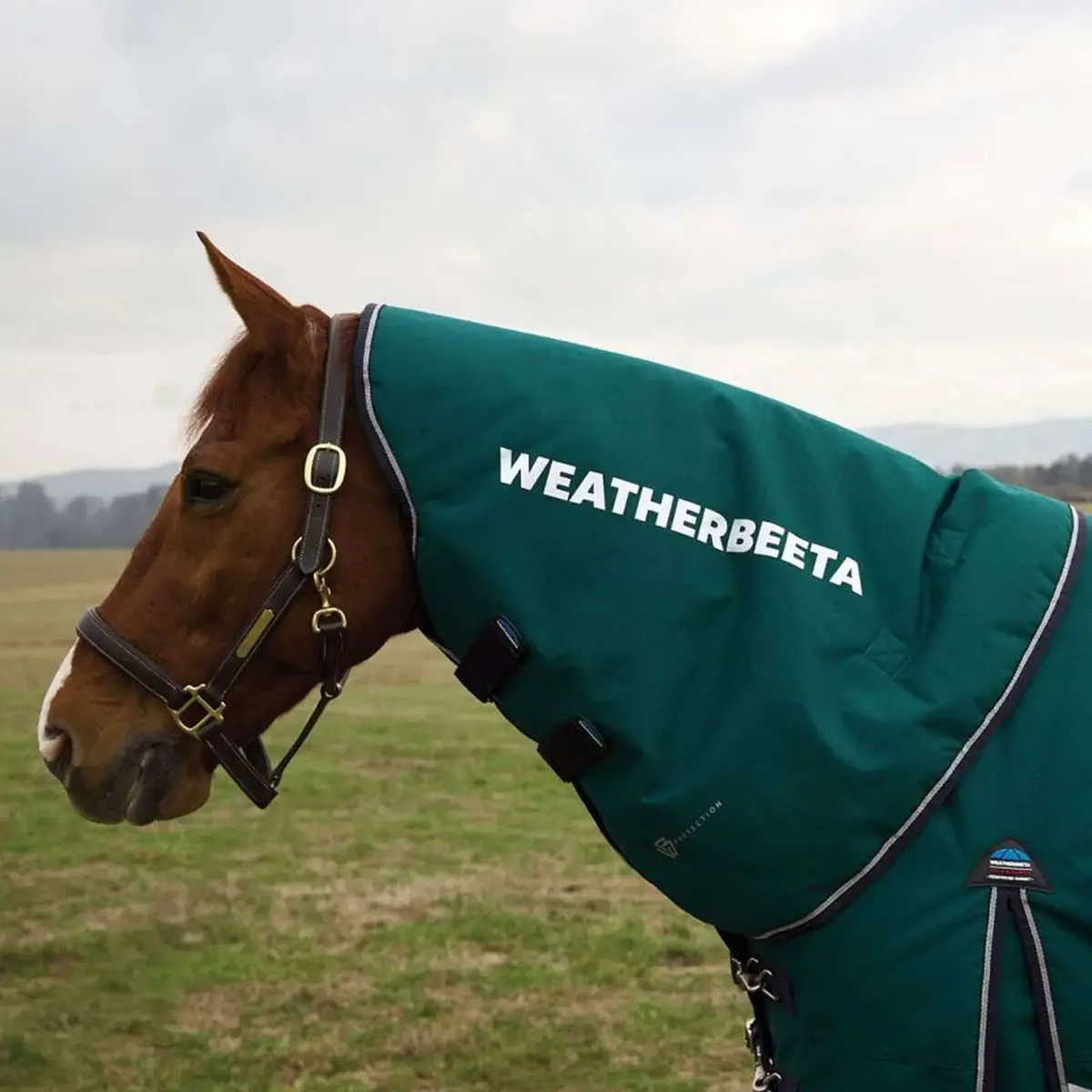 Weatherbeeta Halsstuk Comfitec Plus Dynamic Turnout 100G Forest Green/Navy 1