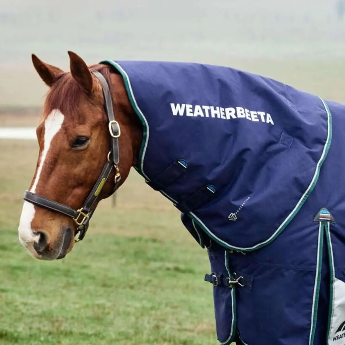 Weatherbeeta Halsstuk Comfitec Plus Dynamic Turnout 100G Navy/Forest Green 1