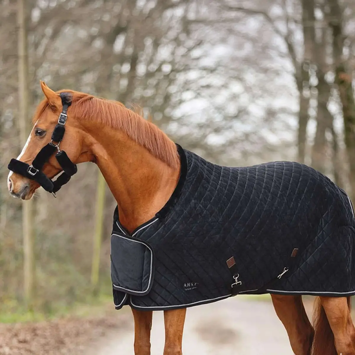 Anky Showdeken Victory Atb24006 Zwart 1