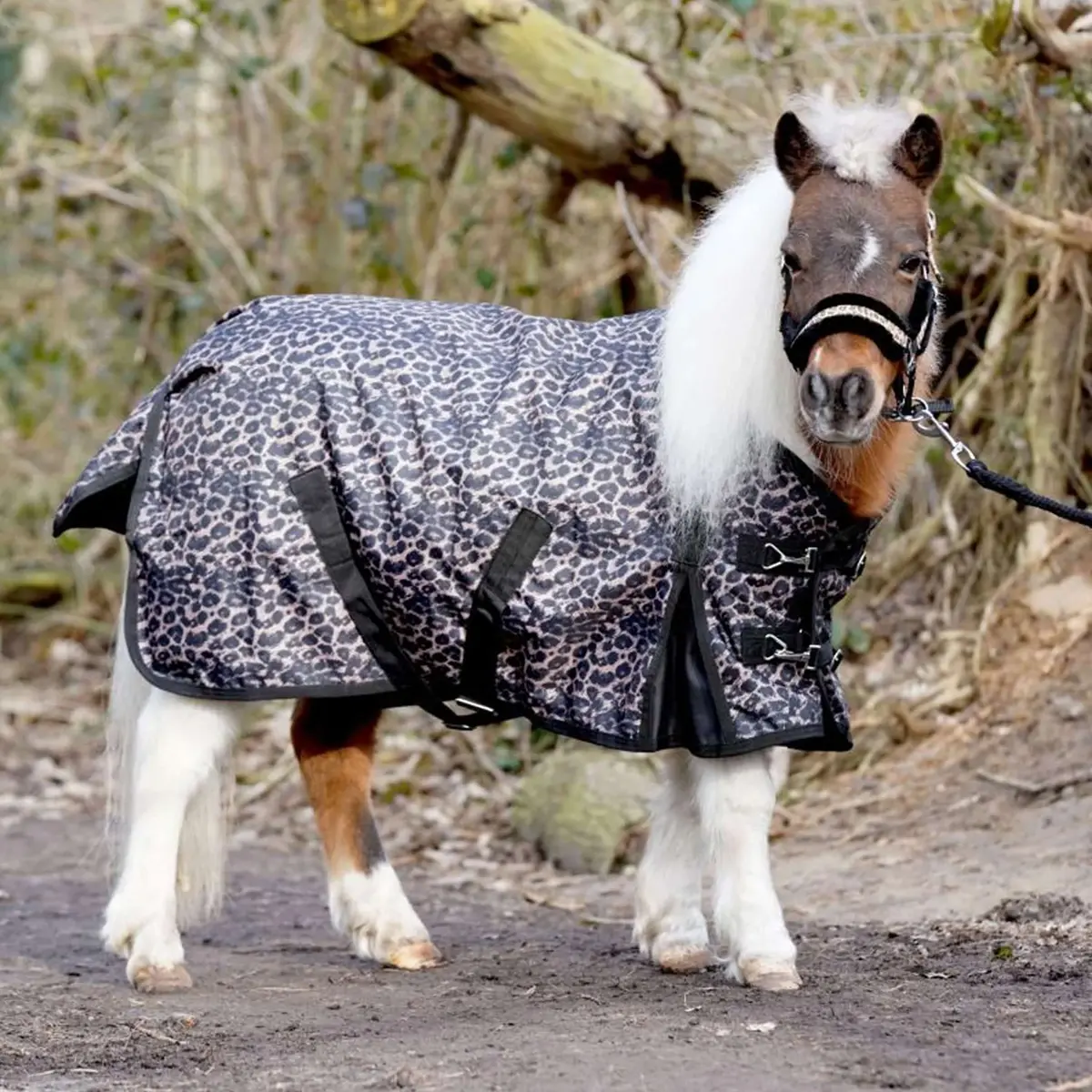 Hb Outdoordeken Leopard Pony 0G Luipaard 1