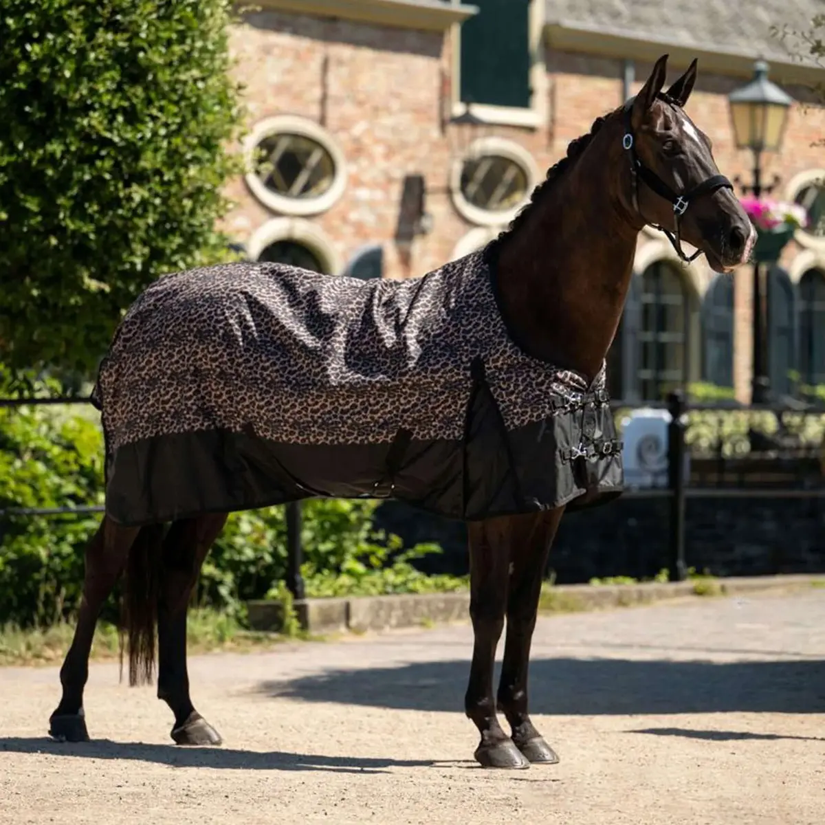 Hb Outdoordeken Leopard 0G Luipaard 1