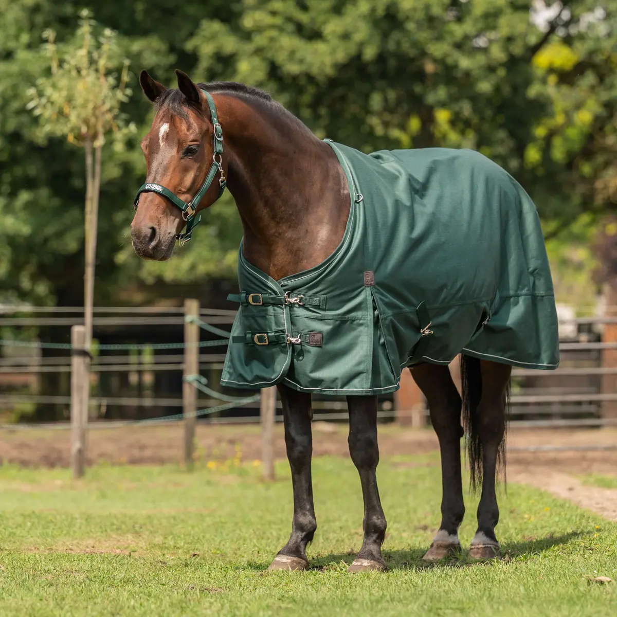Agradi Horse Outdoordeken 1200D 150Gr Reflecterende Bies Groen 1