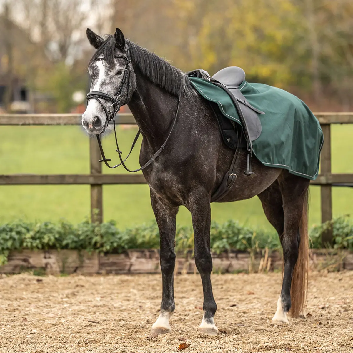 Agradi Horse Uitrijdeken 1200D Reflecterende Bies Groen 1