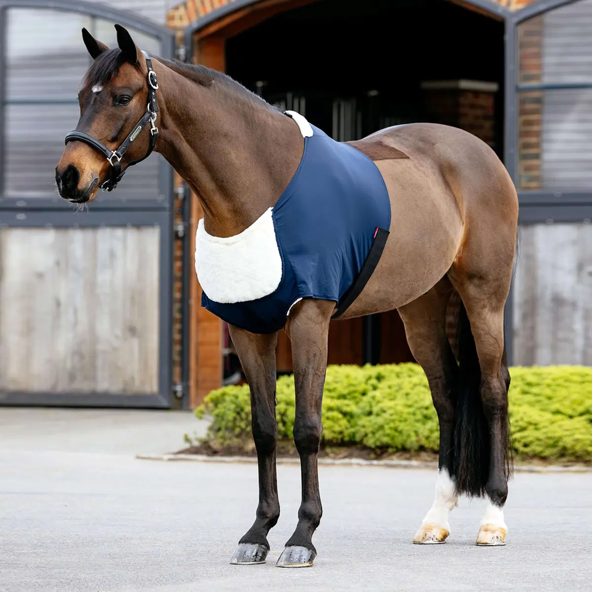 Lemieux Borstbeschermer Soft Anti-Rubbing Navy 1