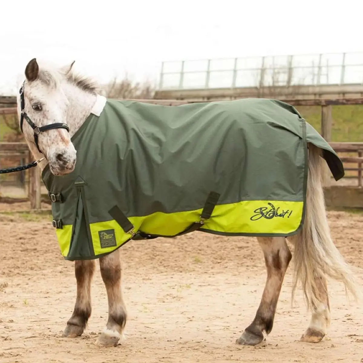 Harry's Horse Regendeken Stout! Lime 0G Legergroen 1