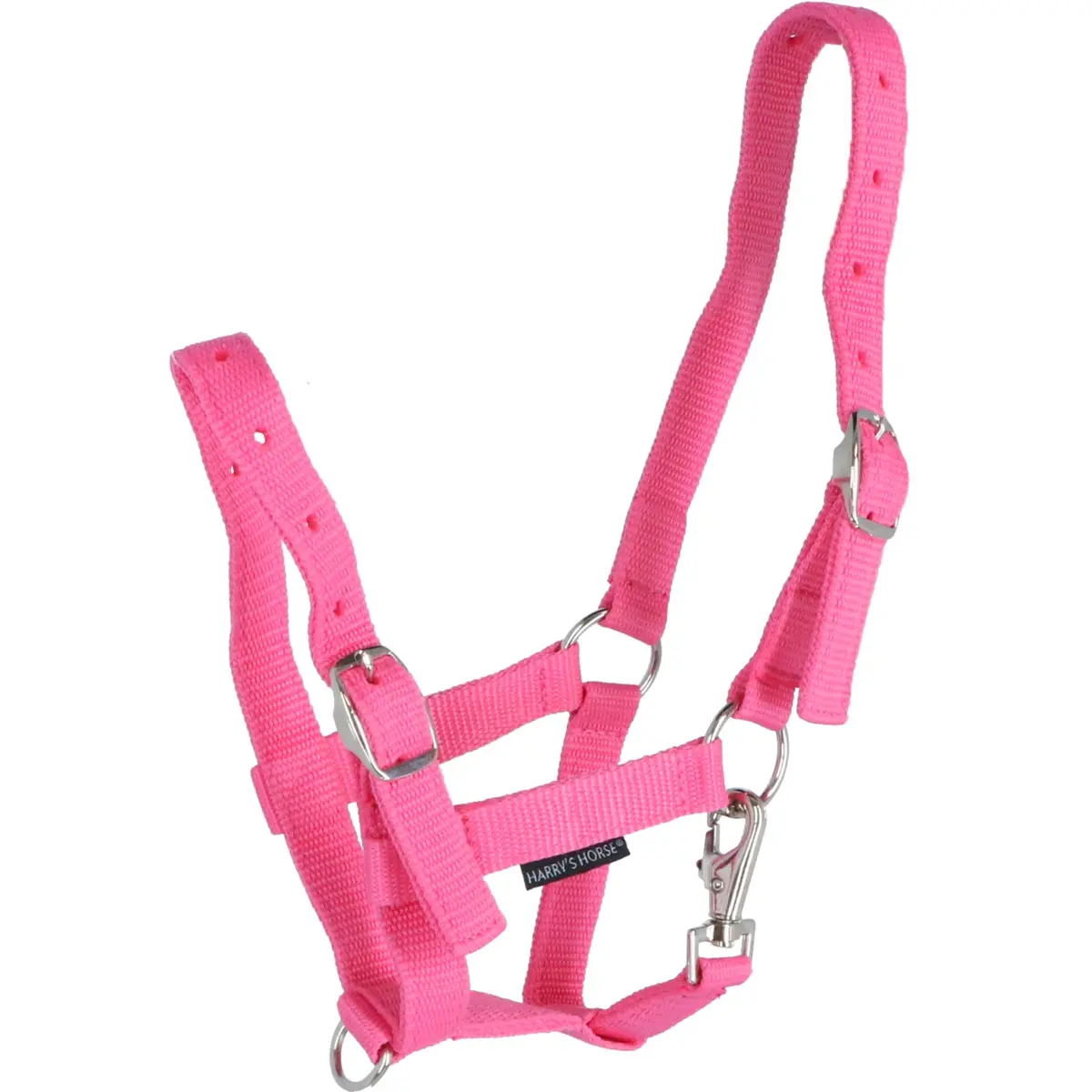 Harry's Horse Veulenhalster Lichtroze 1