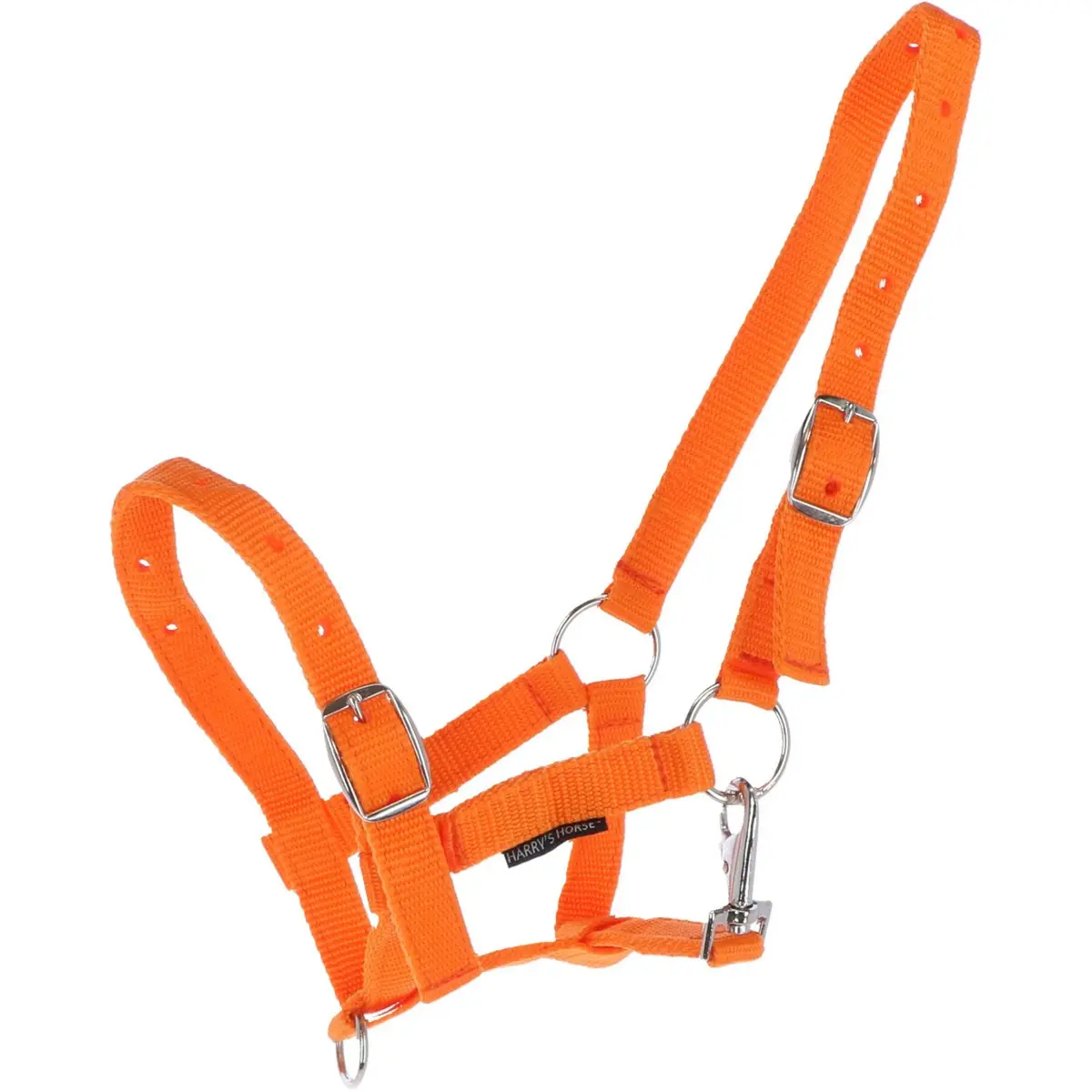 Harry's Horse Veulenhalster Oranje 1