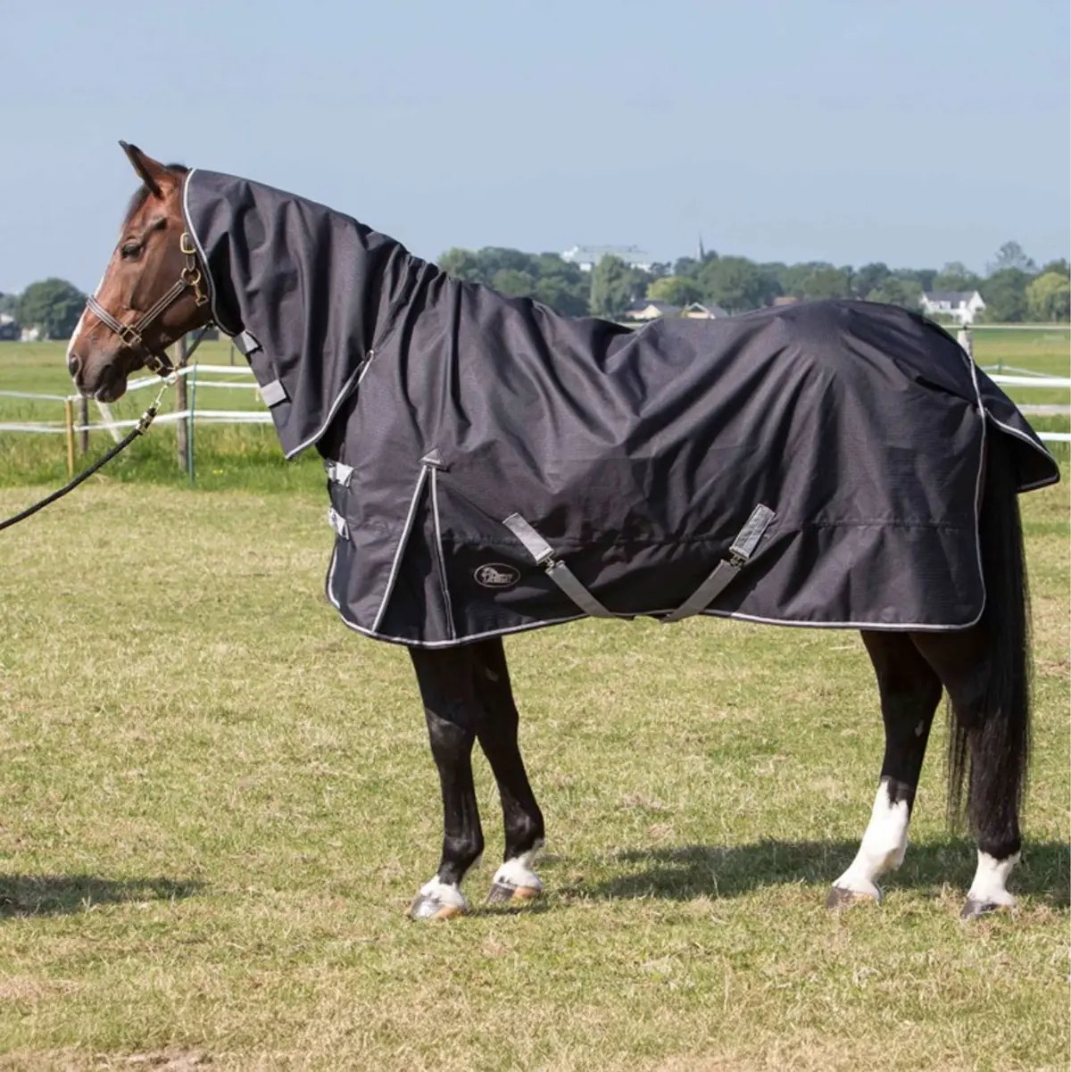 Harry's Horse Regendeken 0G Thor Met Nek Stretch Limo 1