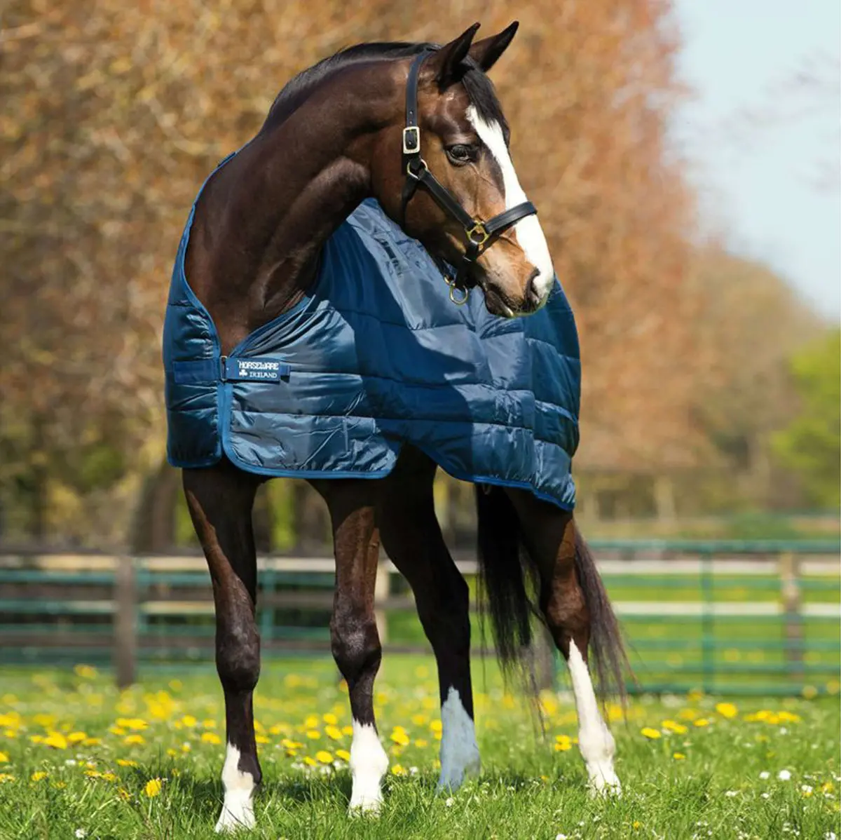 Horseware Liner 300G Navy 1