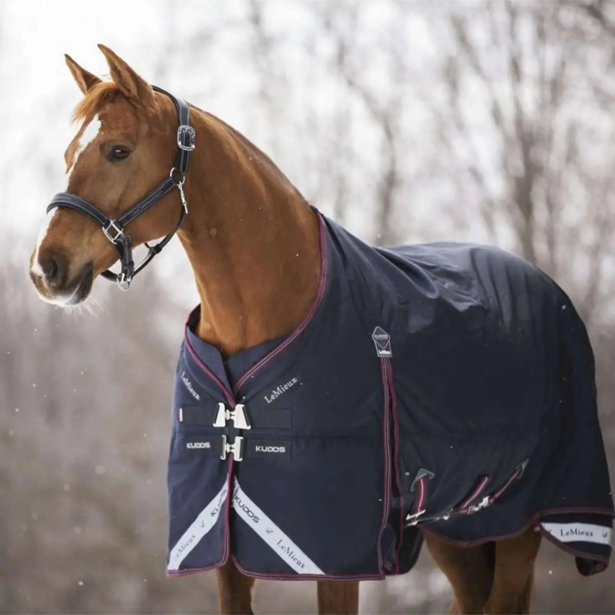 Lemieux Deken Kudos Turnout 100G Navy 1