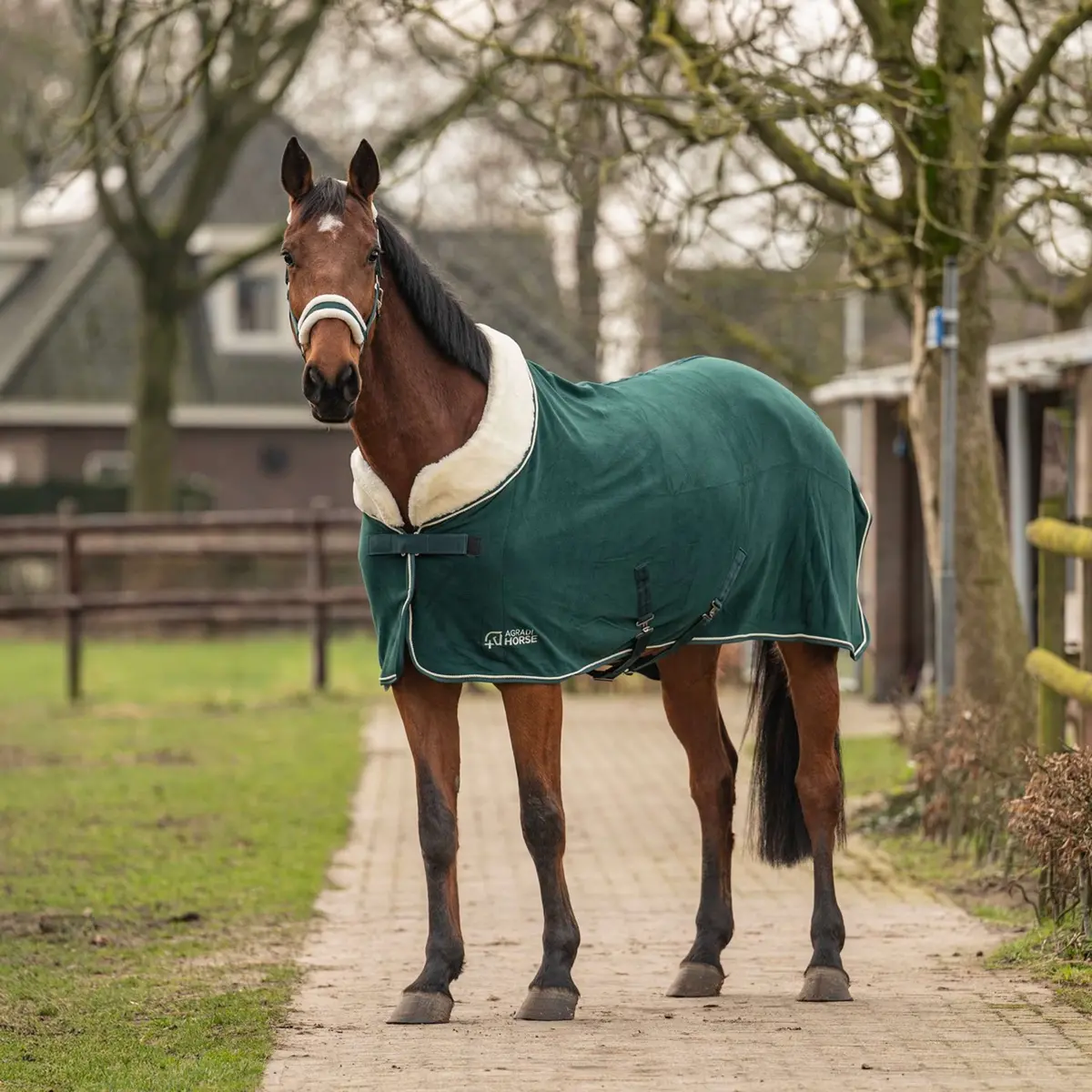 Agradi Horse Fleecedeken Modern Rosé Fir Green 1
