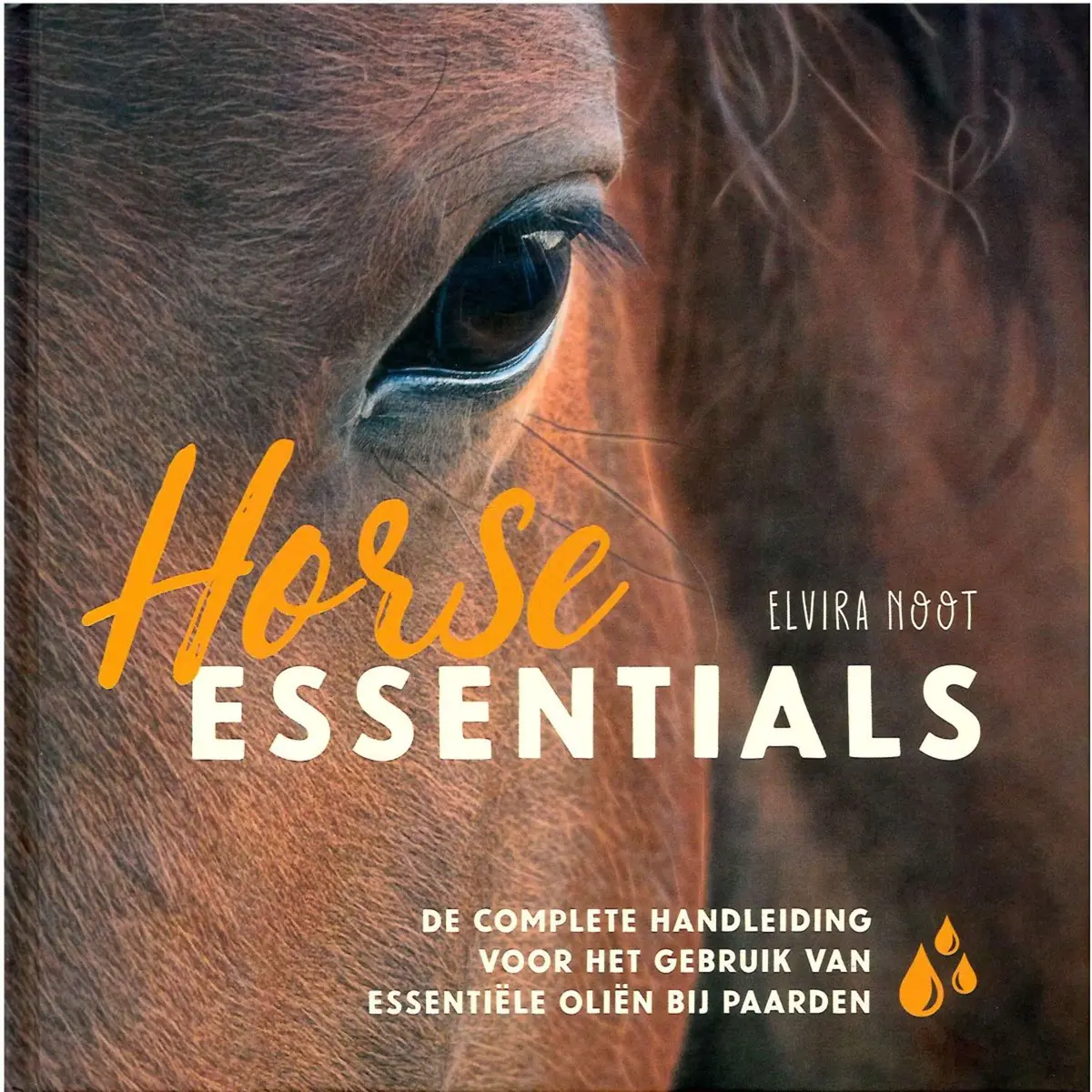 Horse Essentials (Nl) 1
