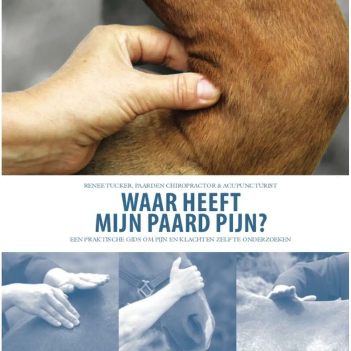 Waar Heeft Mijn Paard Pijn 1