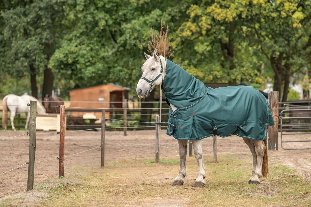 Agradi Horse Deken Set 1